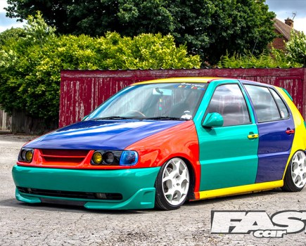 Harlequin VW Polo