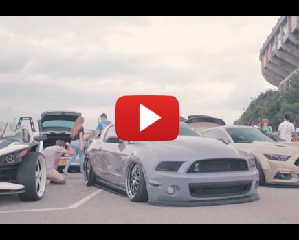 CLEAN CULTURE VIRGINIA