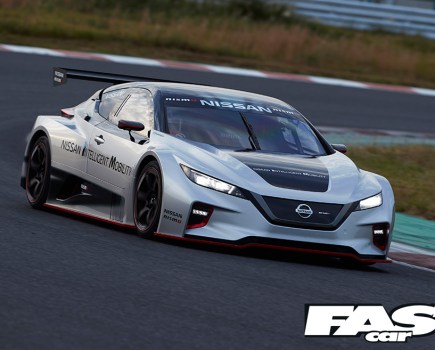Nissan Leaf Nismo RC Race Car
