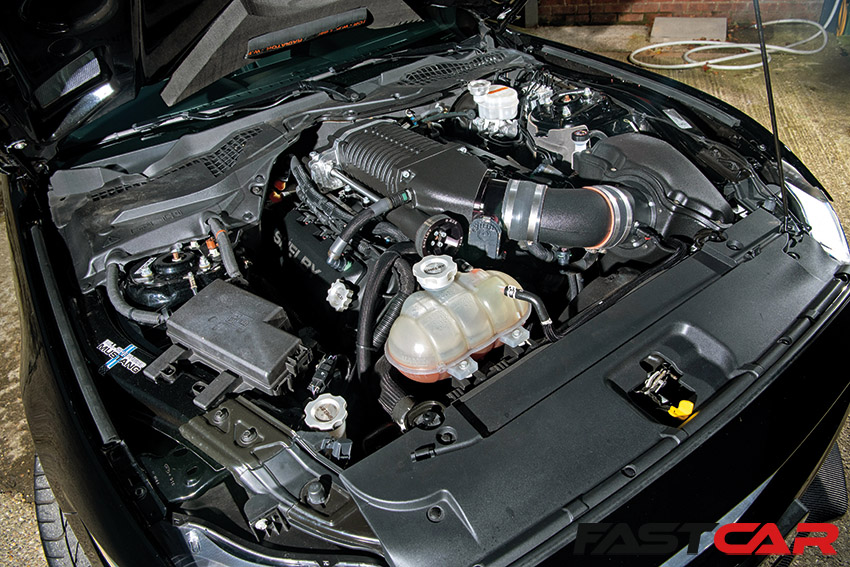 V8 engine in modified shelby mustang