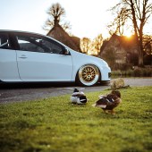 Ducks and Modified VW Golf GTI Mk5