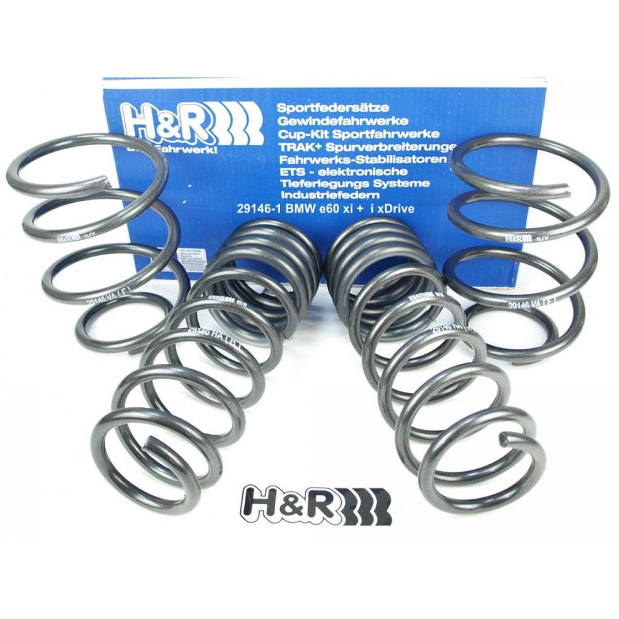 A set of H&R lowering springs.