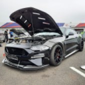 black Mustang