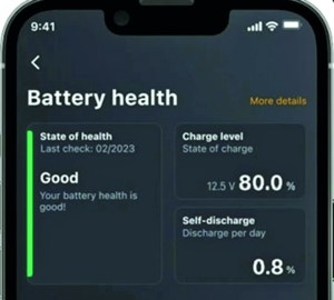 Carly battery health