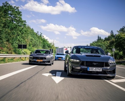 Mustangs on the road