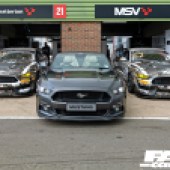 Three Mustang GT4s parked in a row outside a garage